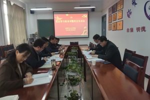 公司召开党史学习教育专题民主生活会