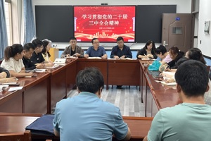 凝心聚力抓落实  奋力谱写新篇章——公司党总支组织学习党的二十届三中全会精神