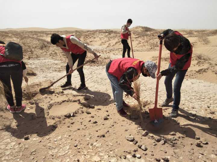 5ea53b73b72b4e2e91c74d1a7db92999.jpg 5ea53b73b72b4e2e91c74d1a7db92999.jpg