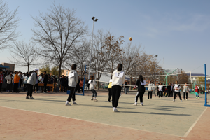 公司成功举办第一届“阳光杯”女子排球比赛