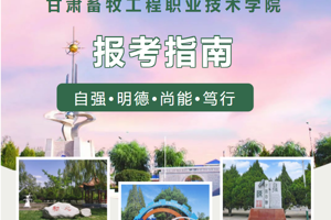 懂球体育报考指南