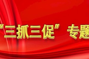 懂球体育“三抓三促”行动方案