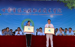 公司在公司第十五届运动会荣获精神文明奖