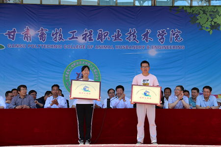 公司在公司第十五届运动会荣获精神文明奖